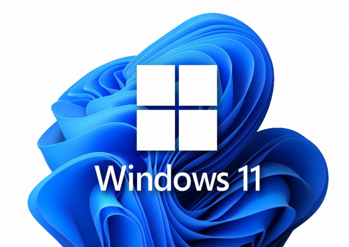 Windows 11